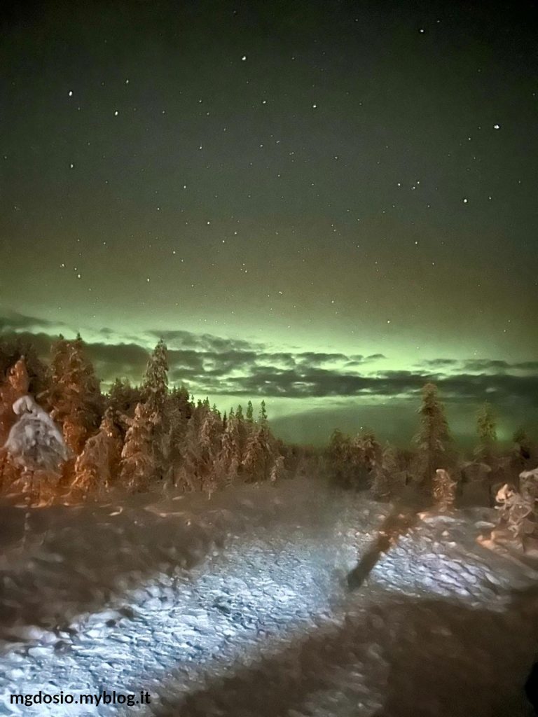 Foto scattata da Giorgia mentre contemplavamo questa emozionante aurora boreale